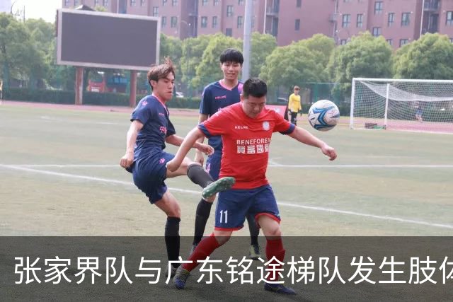 张家界队与广东铭途梯队发生肢体冲突，湖南省足协：暂停涉事人员参加省内一切足球活动